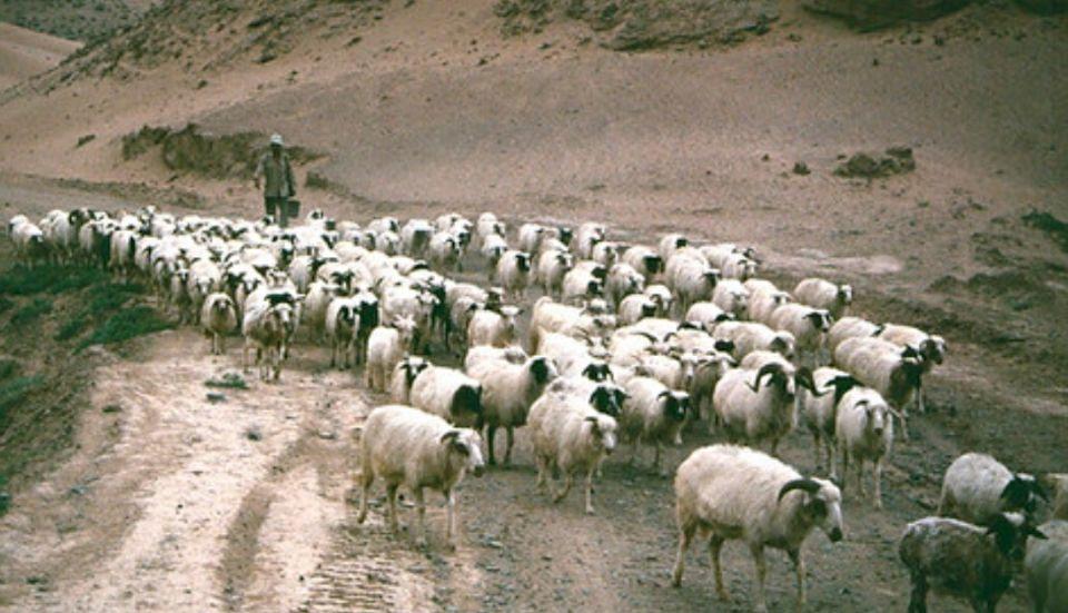 外交部发言人谈宁夏发展情况