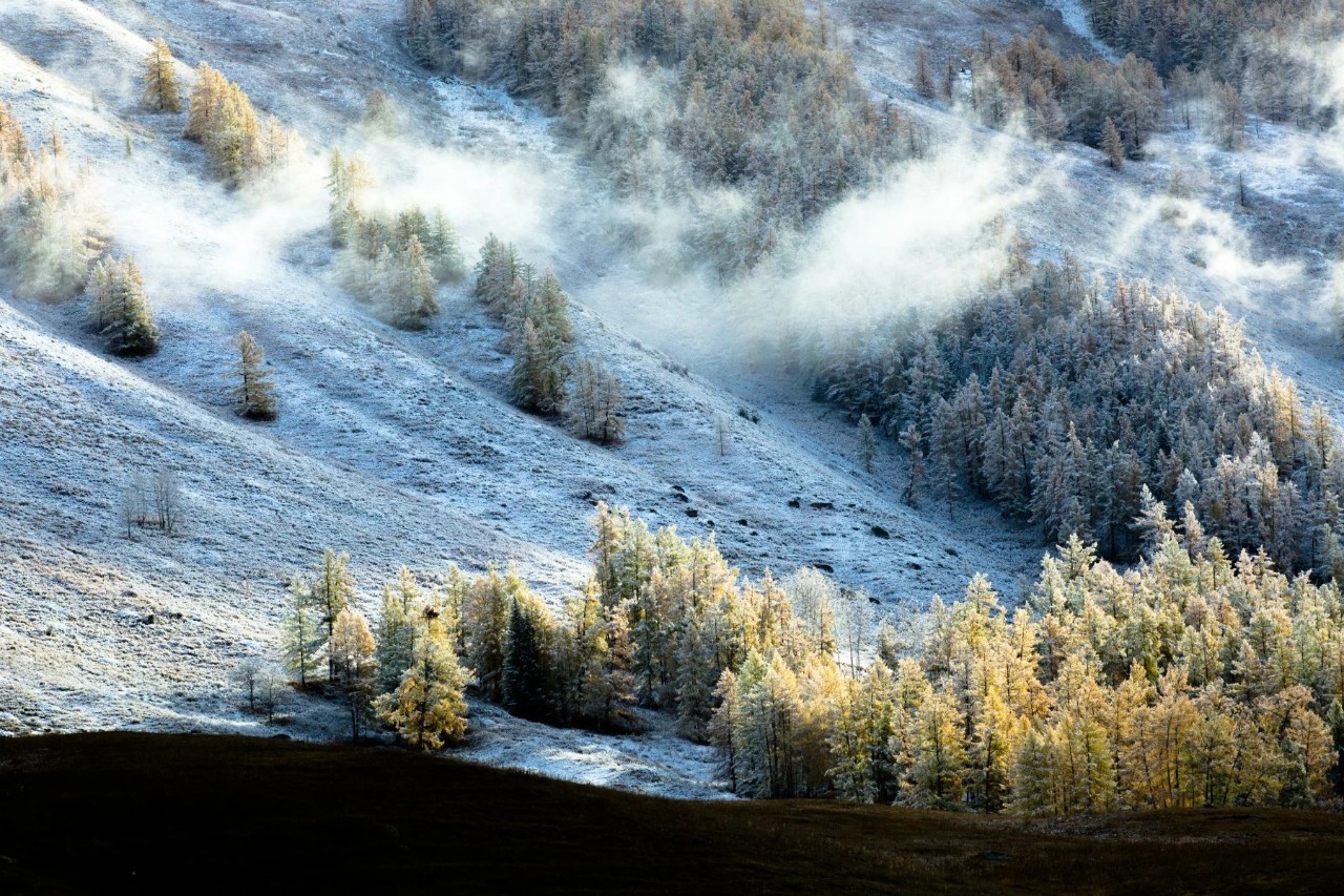 新疆古城街景，光影中的古城守望者